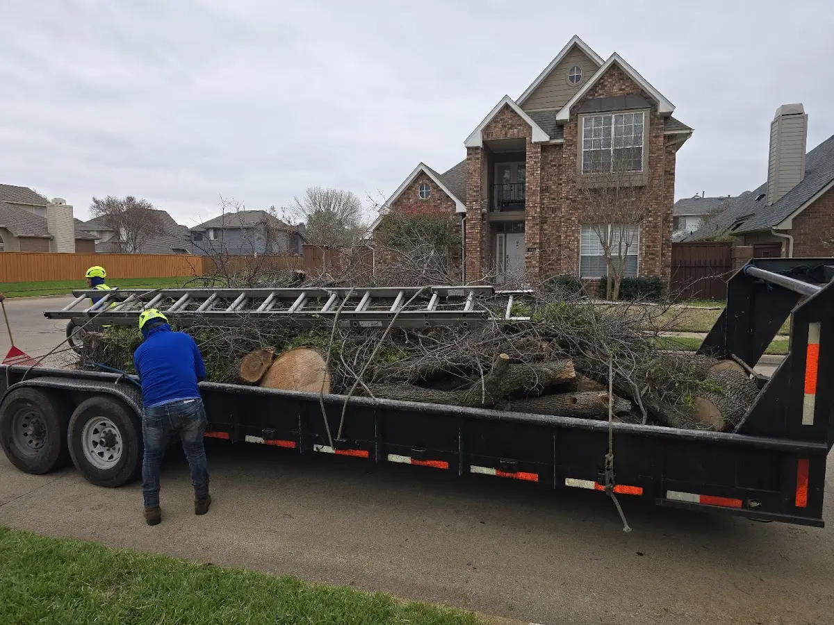 Expert Tree Removal with proper safety equipment in Elkhart